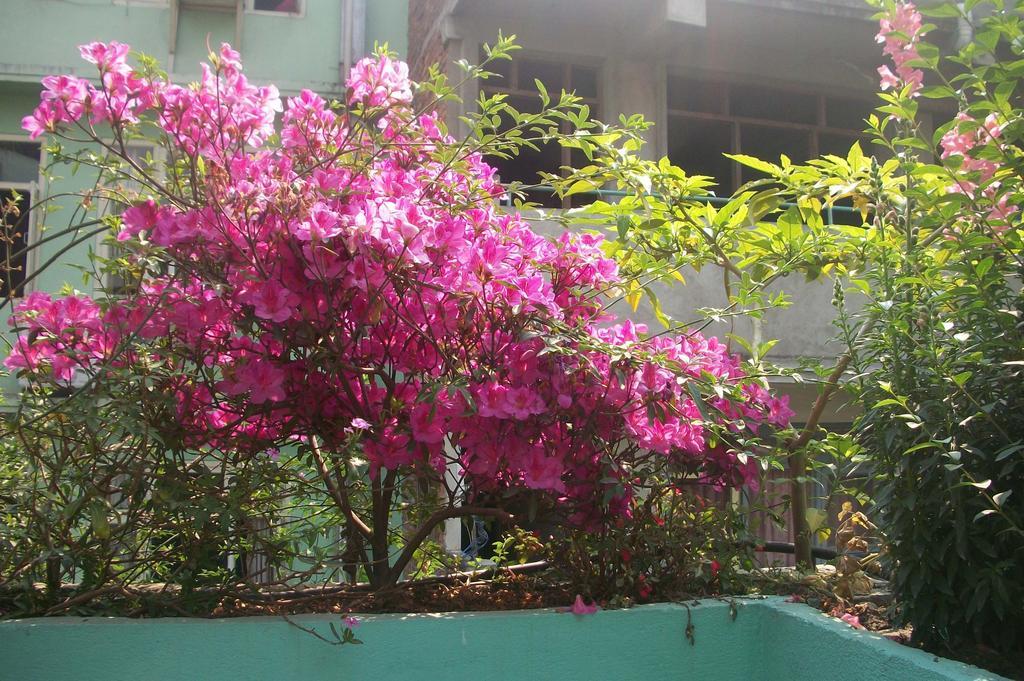 Hotel Impala Garden Kathmandu Bagian luar foto
